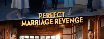 Perfect Marriage Revenge