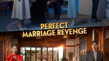 Perfect Marriage Revenge