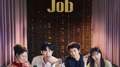 The Apartment Job